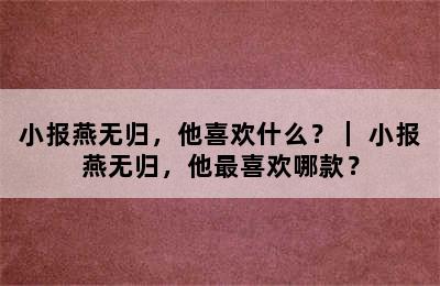 小报燕无归，他喜欢什么？｜ 小报燕无归，他最喜欢哪款？